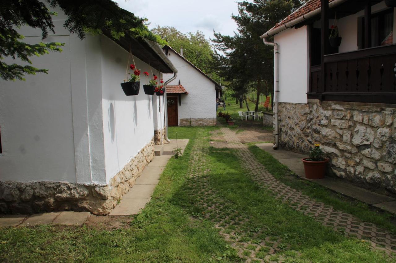 Ferienwohnung Korkostolo Vendeghazak Aggtelek Exterior foto